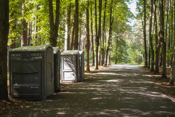 Best Wedding porta potty rental  in Espaola, NM